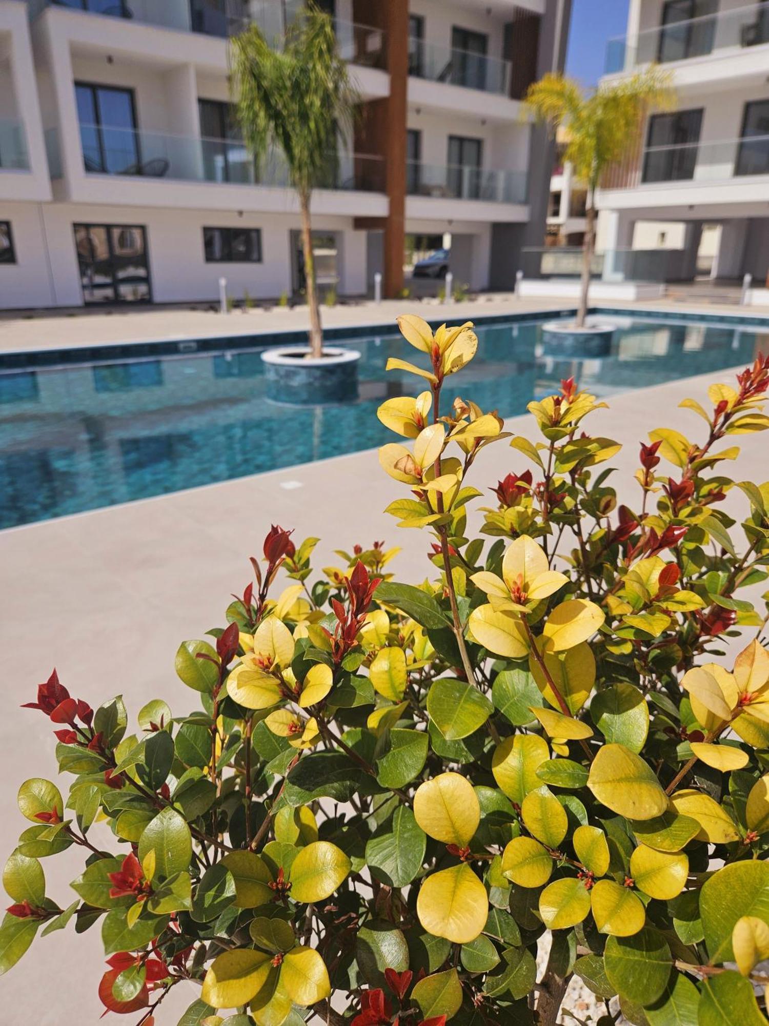Superior Apartment, Universal Residences Apartament Pafos